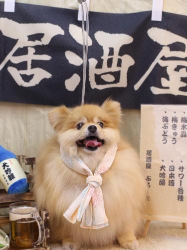 20240609梛都ちゃん